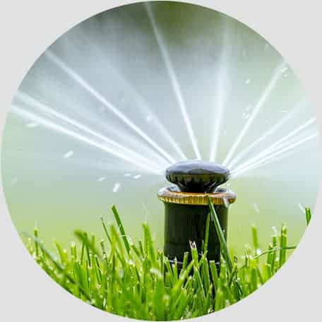Lawn sprinkler head watering green grass