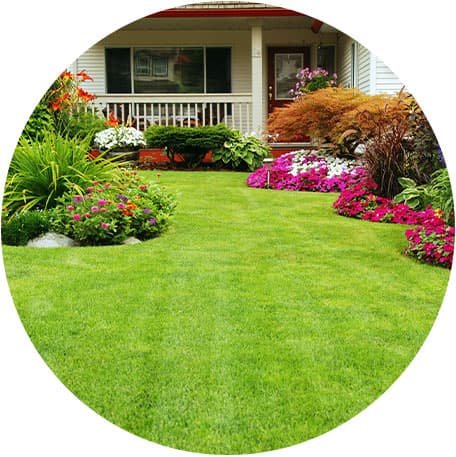 A healthy, green lawn with flowers and bushes